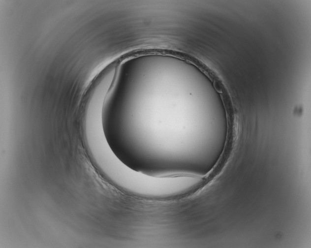 X0000113580925200910091458