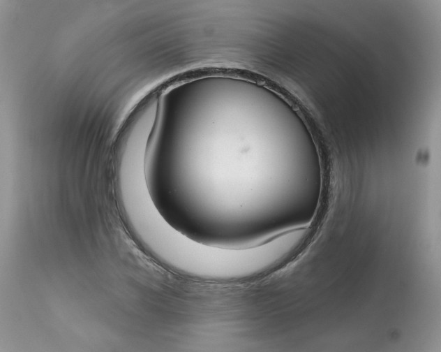 X0000113580926200910091458