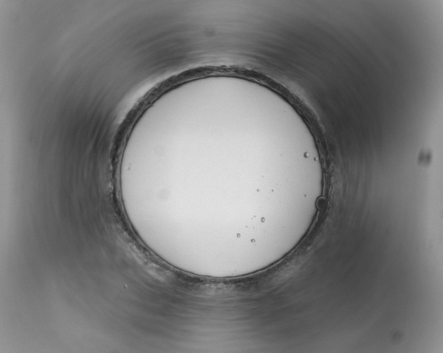 X0000113580927200910091458