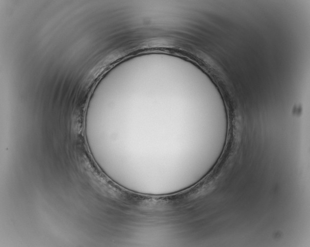 X0000113580929200910091458