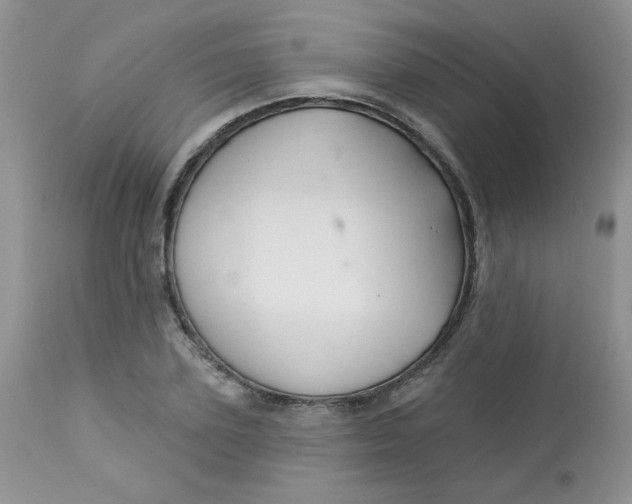 X0000113580931200910091458