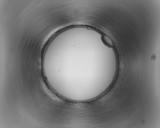 X0000113580934200910091458