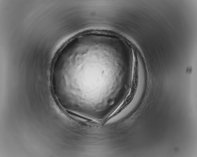 X0000113580935200910091458