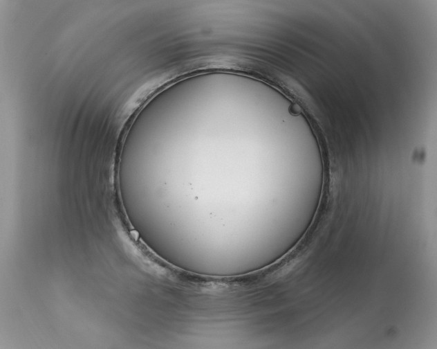 X0000113580938200910091458