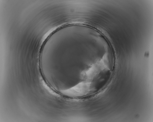 X0000113580941200910091459