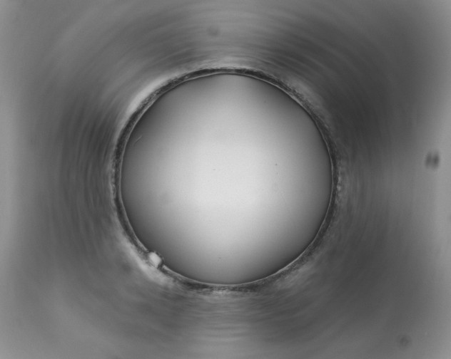 X0000113580942200910091459