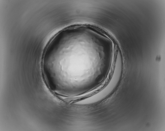 X0000113580943200910091459