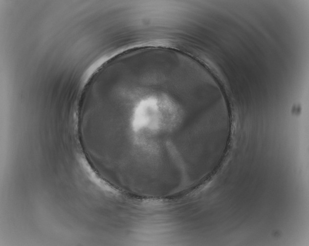 X0000113580944200910091459