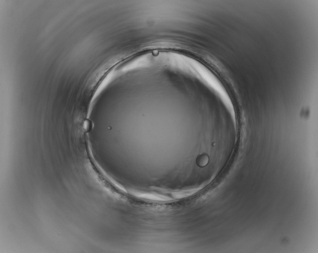 X0000113580945200910091459