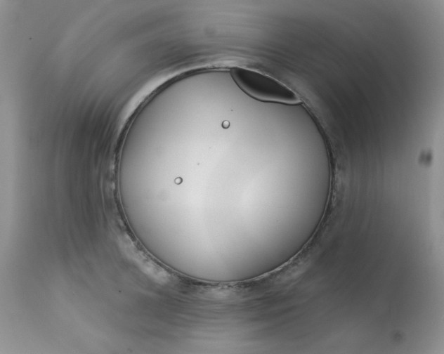 X0000113580948200910091459