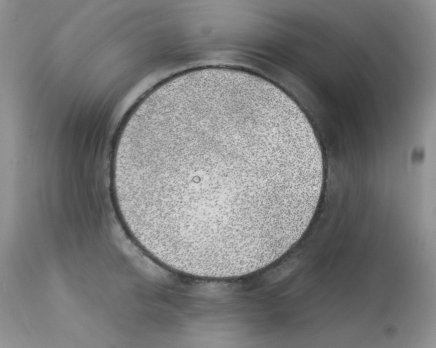 X0000113580950200910091459