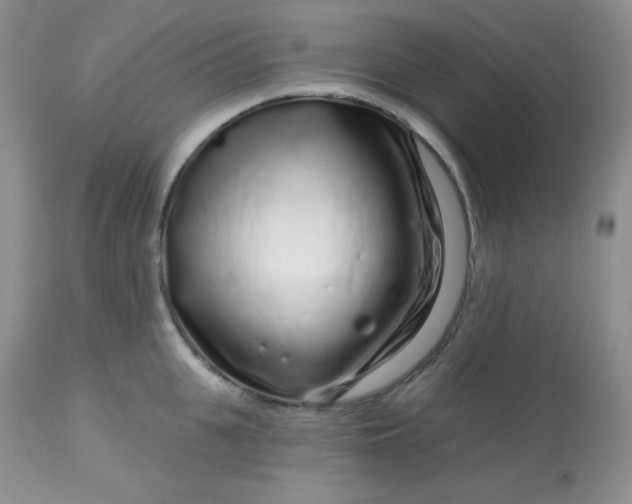 X0000113580951200910091459