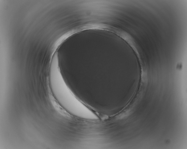 X0000113580954200910091459