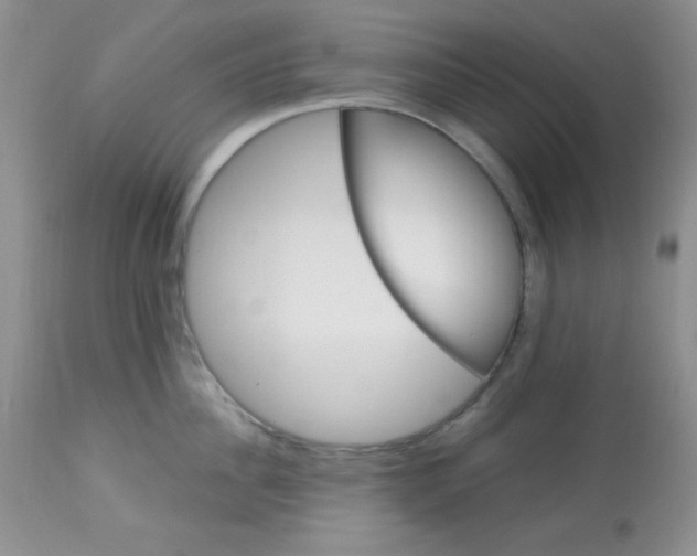 X0000113580956200910091459