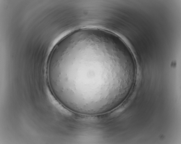 X0000113580957200910091459