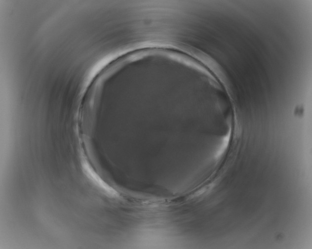 X0000113580958200910091459