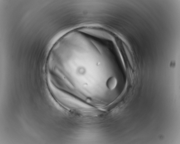 X0000113580959200910091459