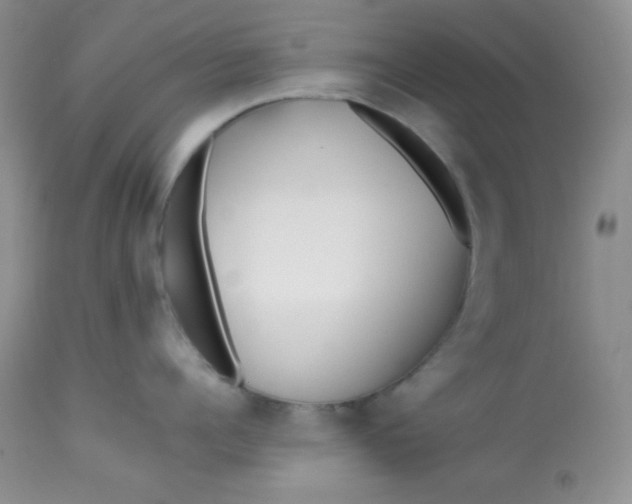 X0000113580960200910091459