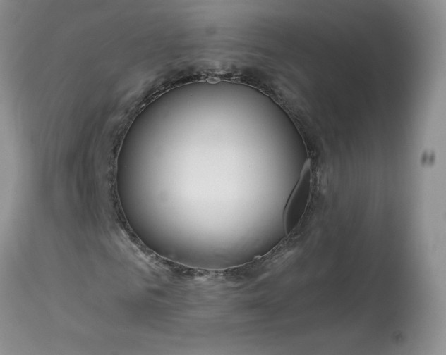 X0000113580961200910091458