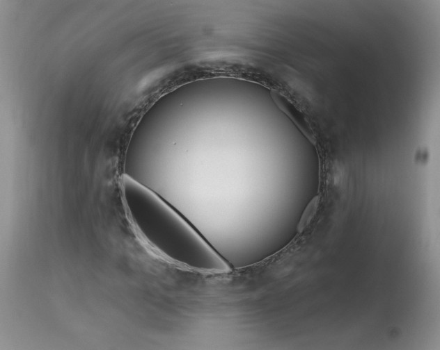 X0000113580965200910091458