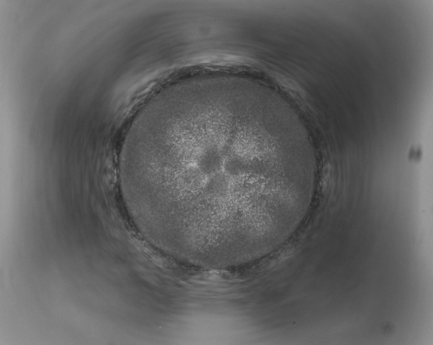 X0000113580966200910091458