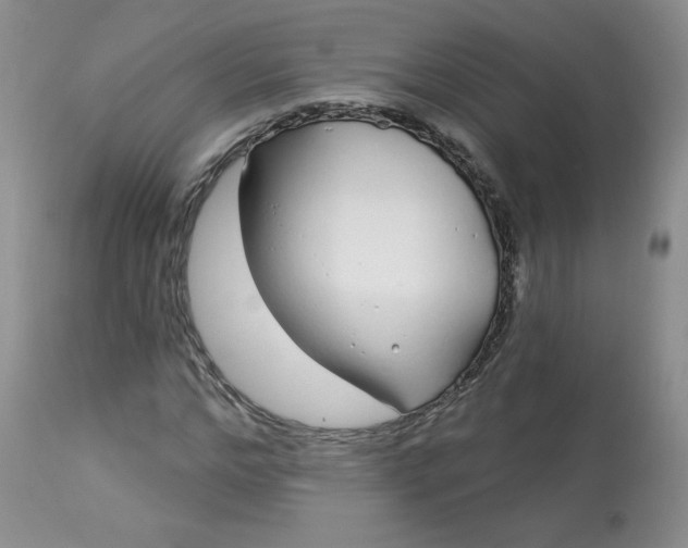 X0000113580968200910091458