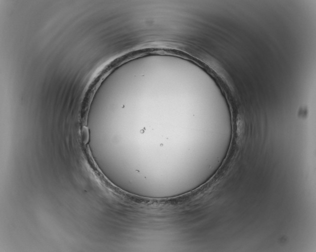 X0000113580972200910091458