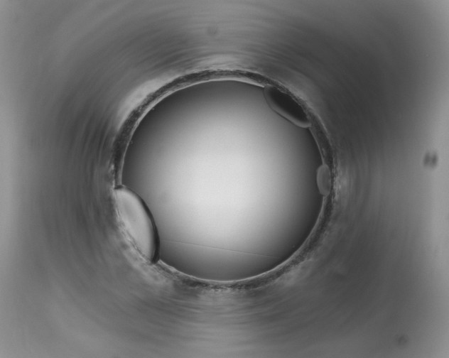 X0000113580973200910091458