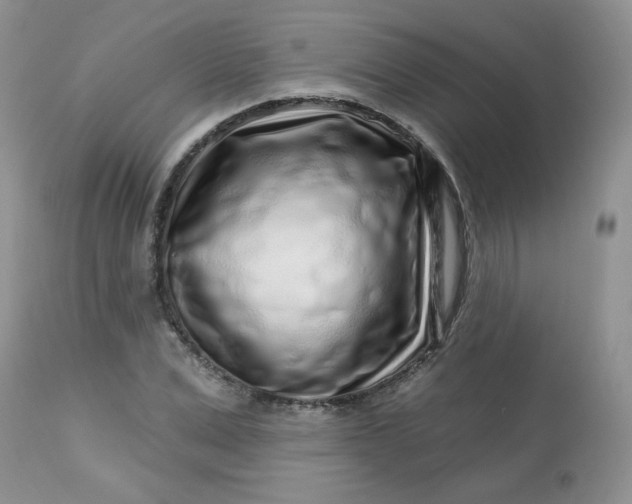 X0000113580975200910091458