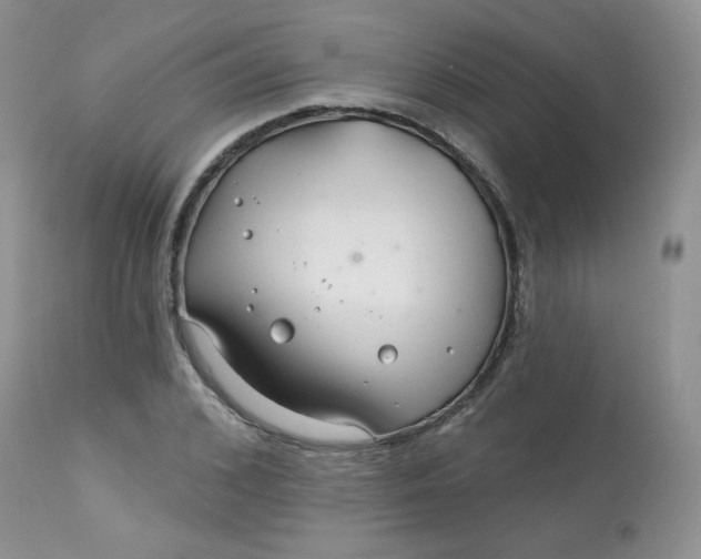 X0000113580976200910091458