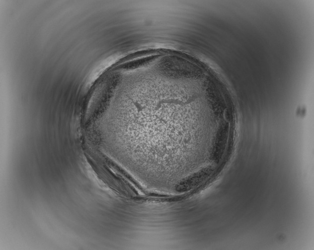 X0000113580977200910091458