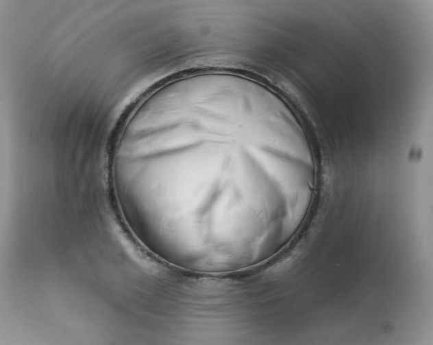 X0000113580981200910091458