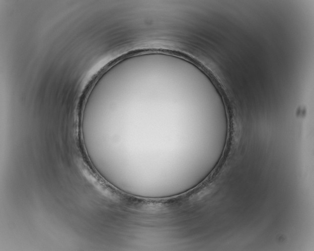 X0000113580982200910091458