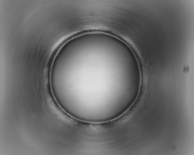 X0000113580983200910091458