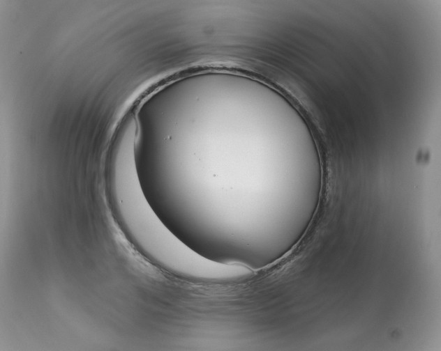 X0000113580984200910091458