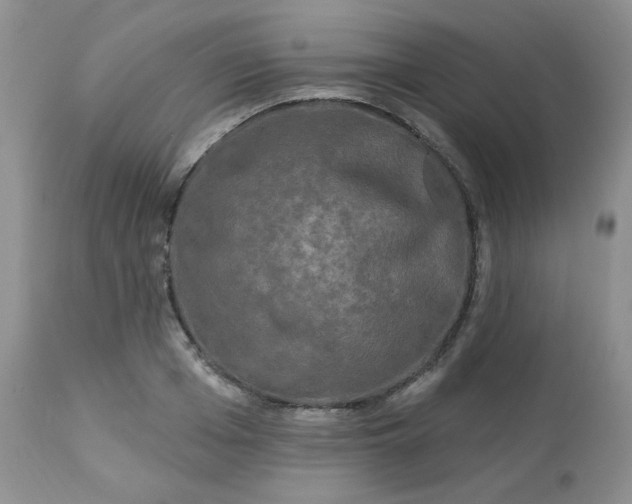 X0000113580985200910091458