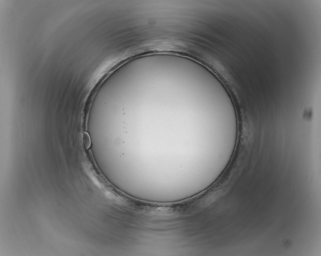 X0000113580986200910091458