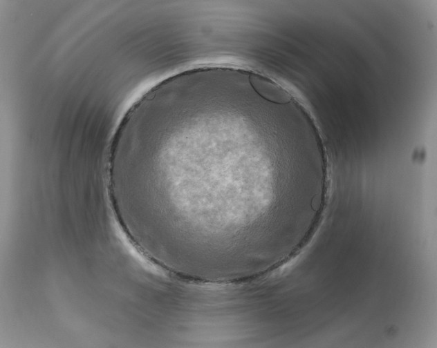 X0000113580989200910091458