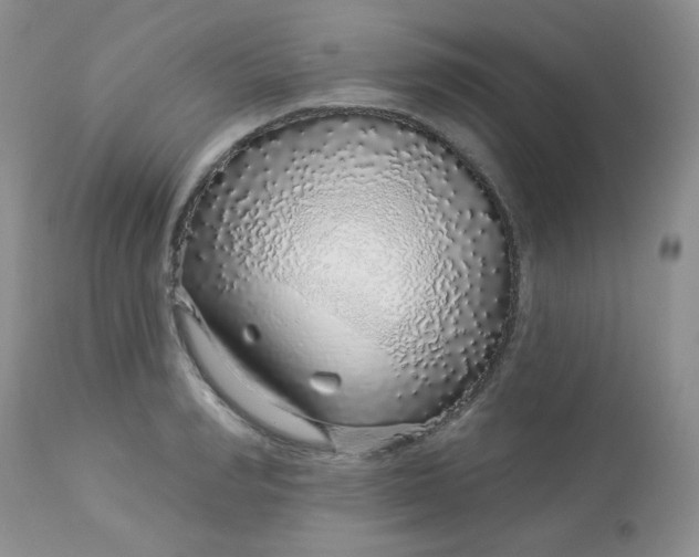 X0000113580990200910091458