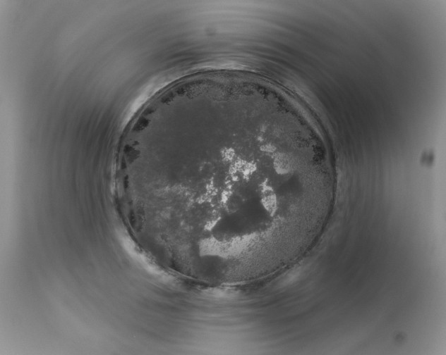 X0000113580994200910091458