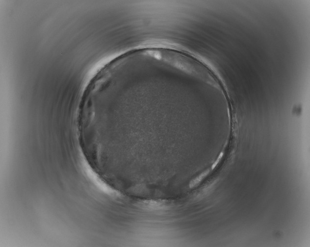 X0000113580995200910091458