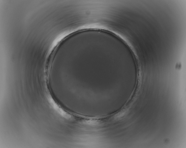 X0000113580998200910091458