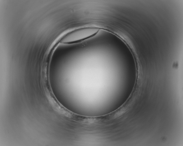 X0000113581000200910091458