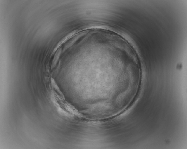 X0000113581001200910091458