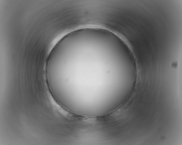 X0000113581006200910091458