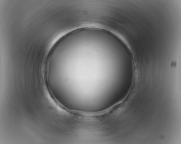 X0000113581007200910091457