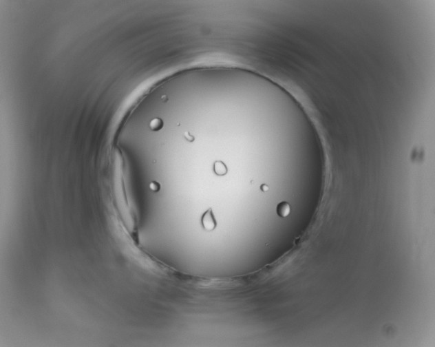 X0000113581008200910091457