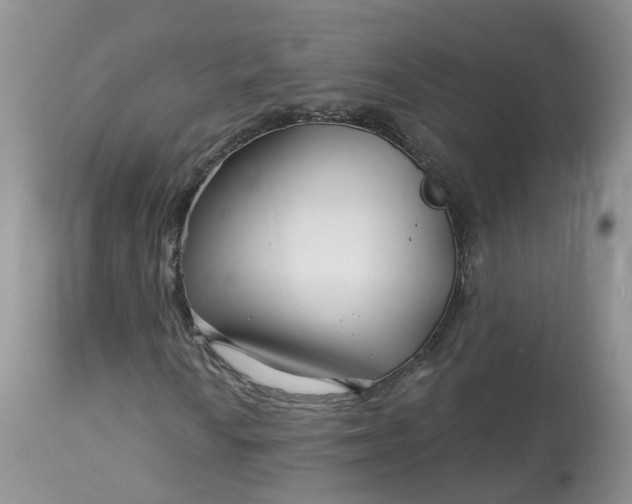 X0000113581010200910091457