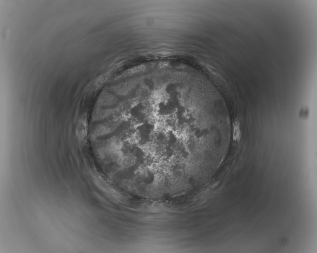 X0000113581011200910091457