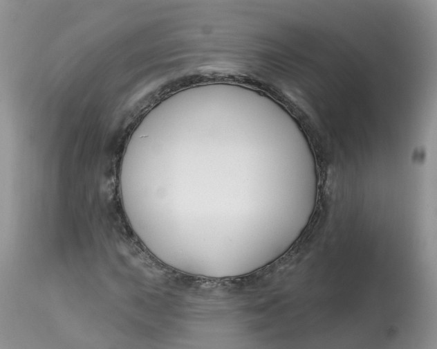 X0000113581015200910091457